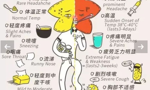 中药黄连粉的价格网中药黄连图片知识网站,分享黄连粉多少钱一克大全
