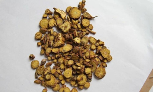 中药黄连的功效与主治-中药黄连粉的价格网中药黄连图片知识网站,分享黄连粉多少钱一克大全