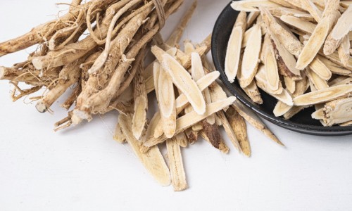 中药黄连的功效与主治-中药黄连粉的价格网中药黄连图片知识网站,分享黄连粉多少钱一克大全